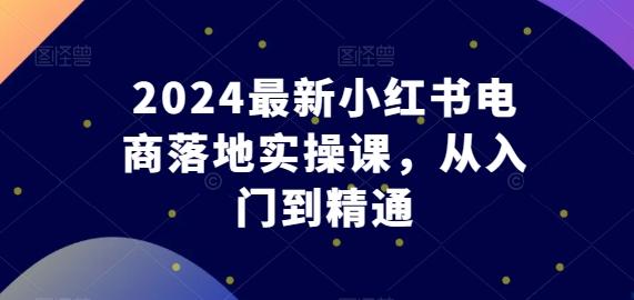 2024最新小红书电商落地实操课，从入门到精通-Ai创业网