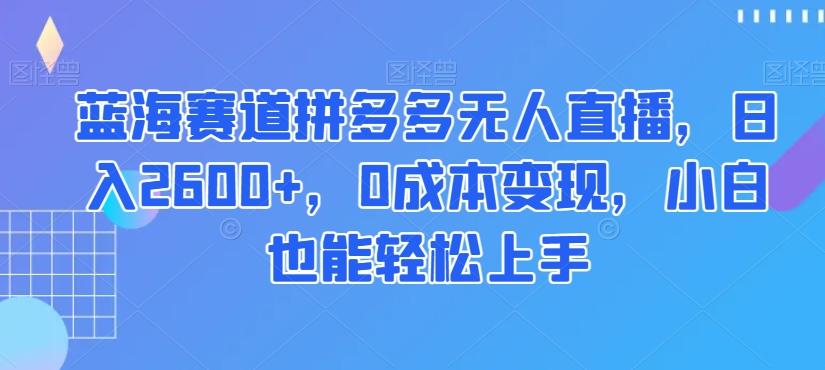 蓝海赛道拼多多无人直播，日入2600+，0成本变现，小白也能轻松上手【揭秘】-Ai创业网