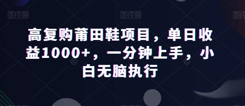 高复购莆田鞋项目，单日收益1000+，一分钟上手，小白无脑执行-Ai创业网