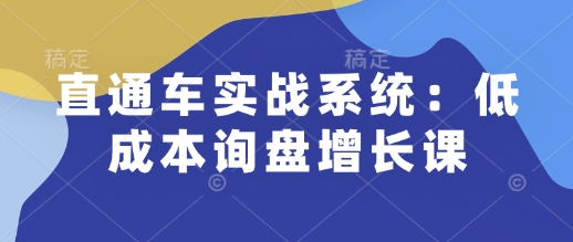直通车实战系统：低成本询盘增长课，让个人通过技能实现升职加薪，让企业低成本获客，订单源源不断-Ai创业网