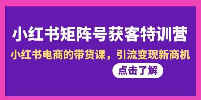 小红书矩阵号获客特训营-第10期，小红书电商的带货课，引流变现新商机-Ai创业网