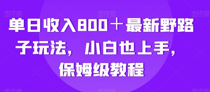 单日收入800＋最新野路子玩法，小白也上手，保姆级教程-Ai创业网