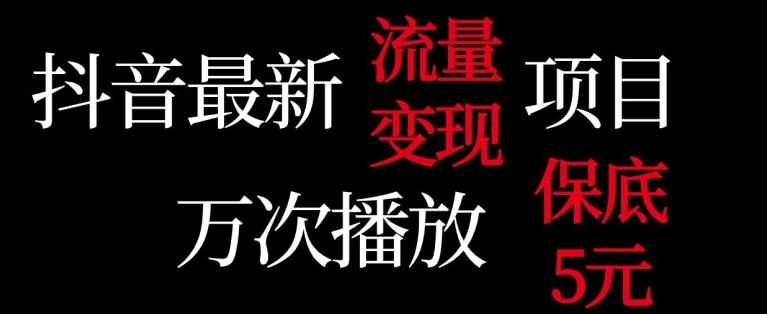 抖音流量变现，万次播放保底5元，额外收入-Ai创业网