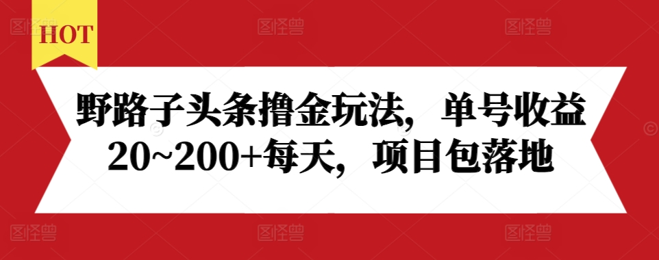 野路子头条撸金玩法，单号收益20~200+每天，项目包落地-Ai创业网