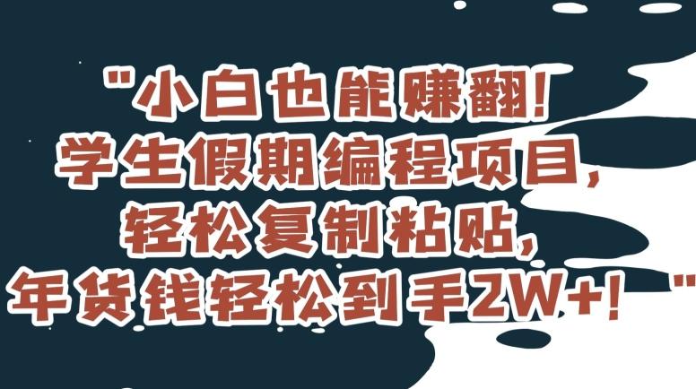 小白也能赚翻！学生假期编程项目，轻松复制粘贴，年货钱轻松到手2W+【揭秘】-Ai创业网