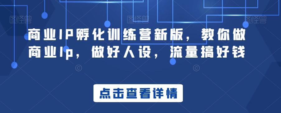 商业IP孵化训练营新版，教你做商业Ip，做好人设，流量搞好钱-Ai创业网