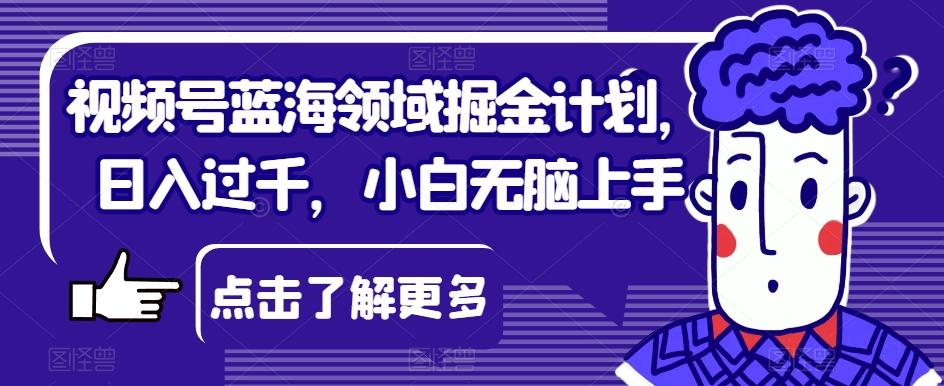 视频号蓝海领域掘金计划，日入过千，小白无脑上手【揭秘】-Ai创业网