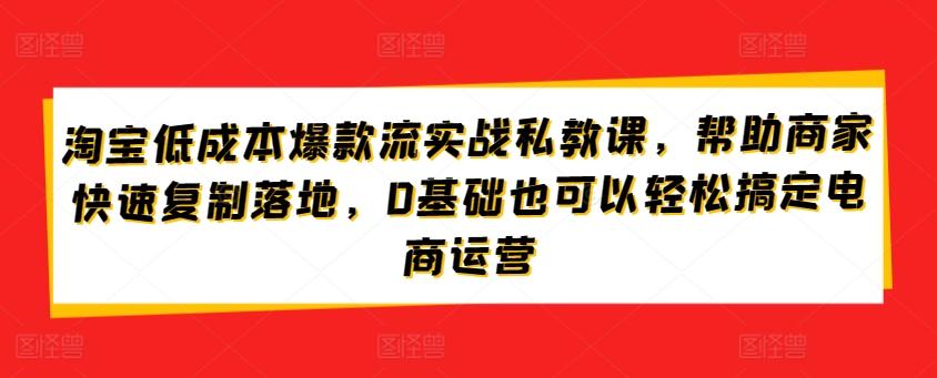 淘宝低成本爆款流实战私教课，帮助商家快速复制落地，0基础也可以轻松搞定电商运营-Ai创业网