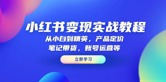 小红书变现实战教程：从小白到精英，产品定价，笔记带货，账号运营等-Ai创业网