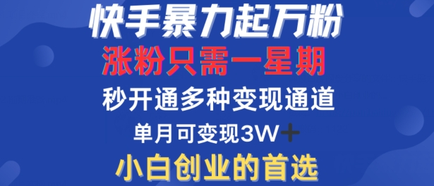 快手暴力起万粉，涨粉只需一星期，多种变现模式，直接秒开万合，单月变现过W【揭秘】-Ai创业网