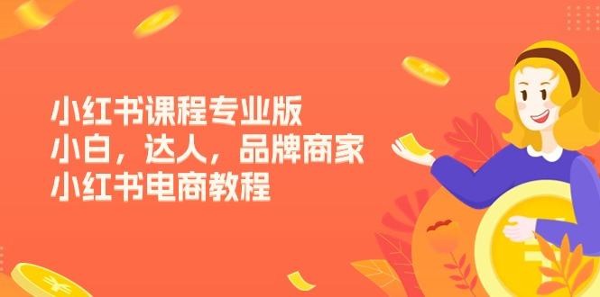 小红书课程专业版，小白，达人，品牌商家，小红书电商教程(15节-Ai创业网