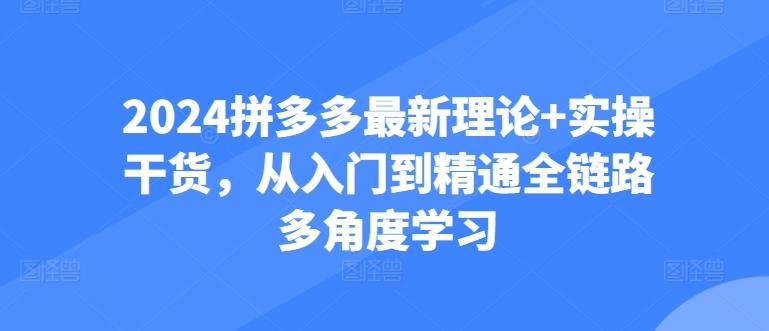 2024拼多多最新理论+实操干货，从入门到精通全链路多角度学习-Ai创业网