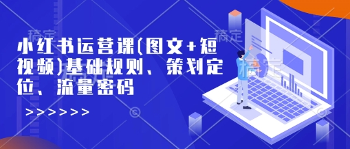 小红书运营课(图文+短视频)基础规则、策划定位、流量密码-Ai创业网