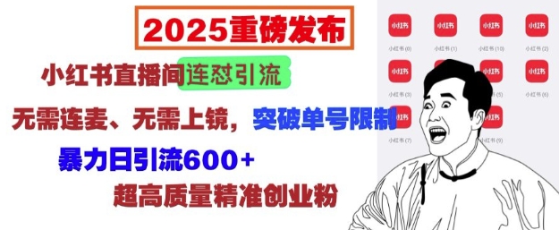 2025重磅发布：小红书直播间连怼引流，无需连麦、无需上镜，突破单号限制，暴力日引流600+-Ai创业网