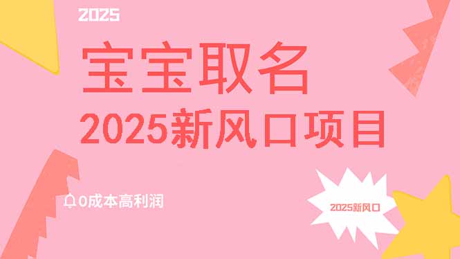 2025新风口项目宝宝取名，0成本高利润，附保姆级教程，月入过万不是梦-Ai创业网