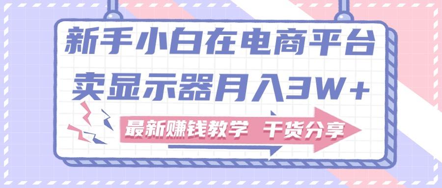 新手小白如何做到在电商平台卖显示器月入3W+，最新赚钱教学干货分享-Ai创业网