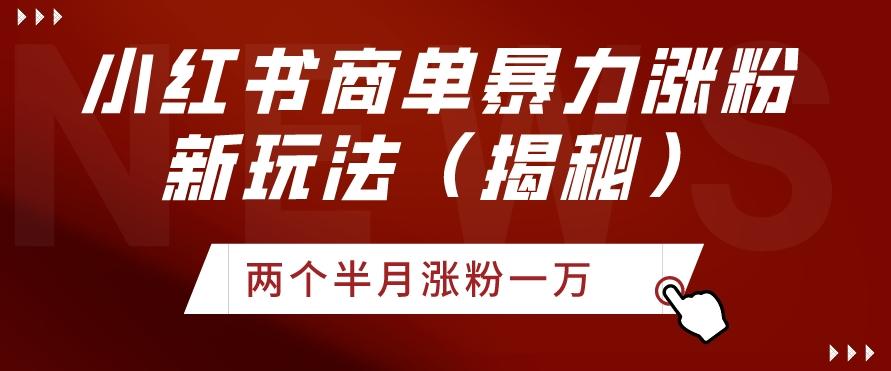 小红书商单暴力涨粉新玩法两个半月涨粉一万（揭秘）-Ai创业网