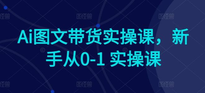 Ai图文带货实操课，新手从0-1 实操课-Ai创业网