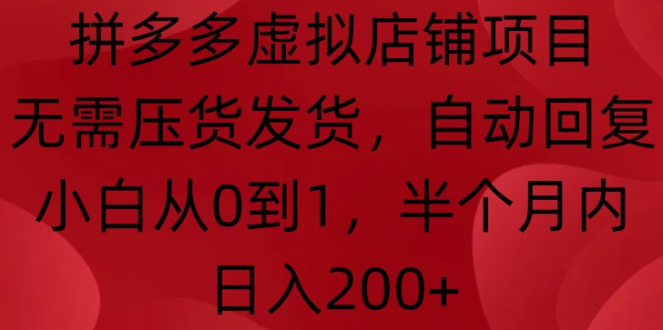 拼多多虚拟店铺项目，无需压货发货，自动回复，小白从0到1，半个月内日入200+【揭秘】-Ai创业网