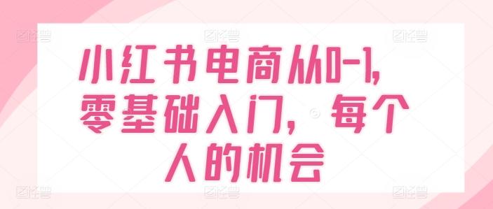 小红书电商从0-1，零基础入门，每个人的机会-Ai创业网