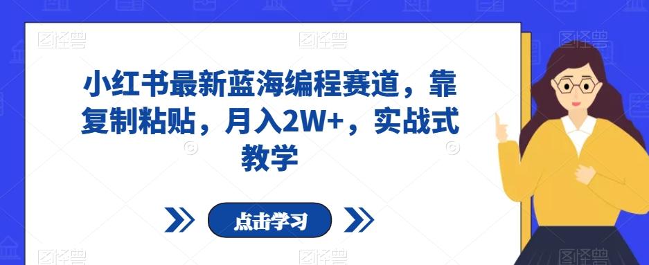 小红书最新蓝海编程赛道，靠复制粘贴，月入2W+，实战式教学【揭秘】-Ai创业网