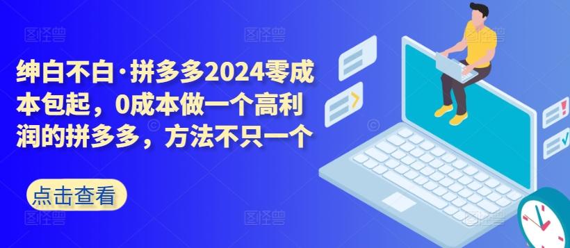 拼多多2024零成本包起，0成本做一个高利润的拼多多，方法不只一个-Ai创业网