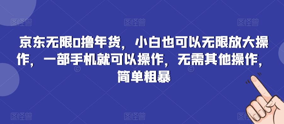 京东无限0撸年货，小白也可以无限放大操作，一部手机就可以操作，无需其他操作，简单粗暴-Ai创业网