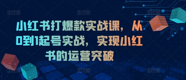 小红书打爆款实战课，从0到1起号实战，实现小红书的运营突破-Ai创业网