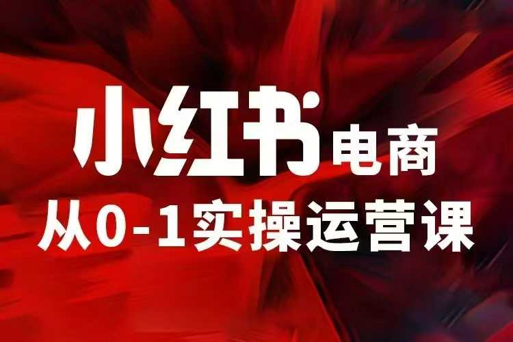 小红书电商运营，97节小红书vip内部课，带你实现小红书赚钱-Ai创业网