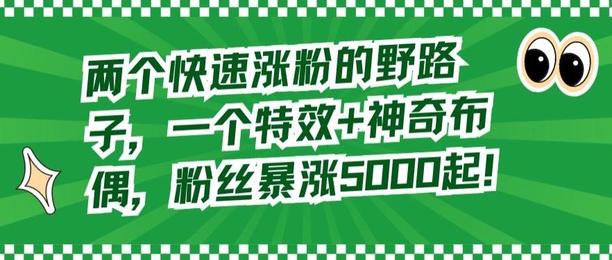 两个快速涨粉的野路子，一个特效+神奇布偶，粉丝暴涨5000起【揭秘】-Ai创业网
