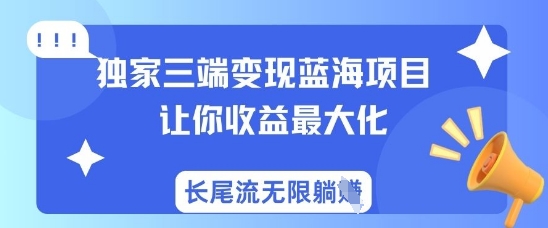 独家三端变现蓝海项目，让你收益最大化，长尾流无限躺挣-Ai创业网