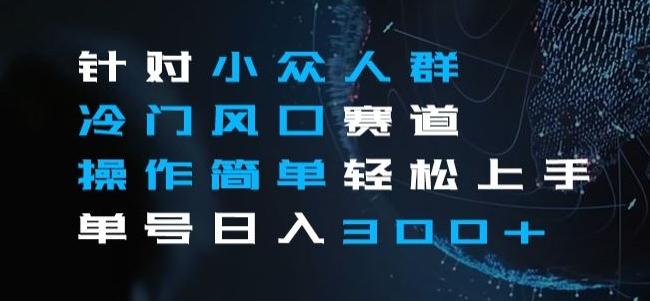 针对小众人群冷门风口赛道，操作简单轻松上手单号日入300+-Ai创业网