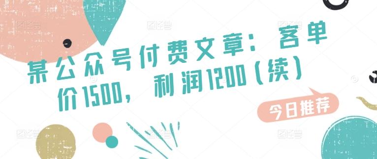某公众号付费文章：客单价1500，利润1200(续)，市场几乎可以说是空白的-Ai创业网
