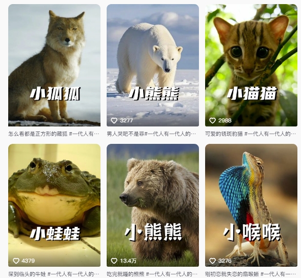 最新搞笑动物百科详细解说课程，蓝海赛道，流量非常大，轻松签独家进精选-Ai创业网