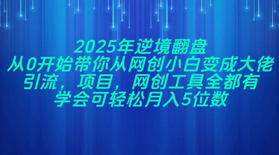 2025年逆境翻盘，从0开始带你从网创小白变成大佬，引流，项目，网创工...-Ai创业网