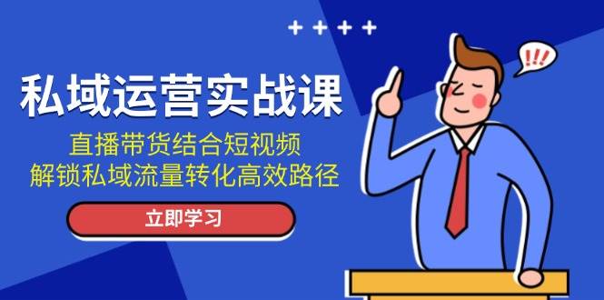 私域运营实战课：直播带货结合短视频，解锁私域流量转化高效路径-Ai创业网