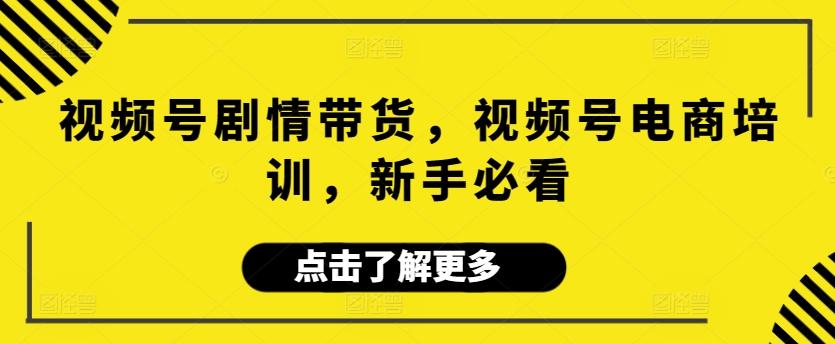 视频号剧情带货，视频号电商培训，新手必看-Ai创业网