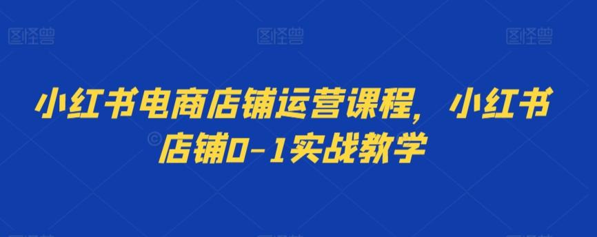 小红书电商店铺运营课程，小红书店铺0-1实战教学-Ai创业网