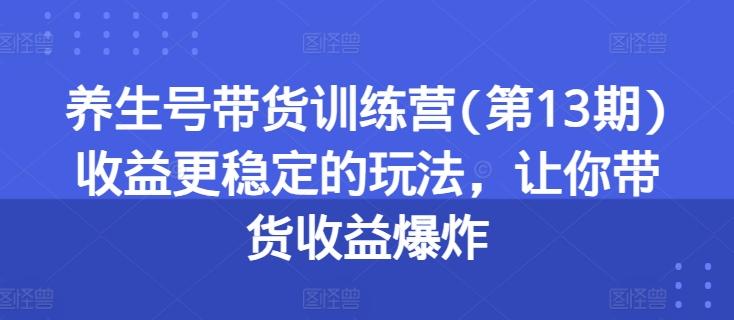 养生号带货训练营(第13期)收益更稳定的玩法，让你带货收益爆炸-Ai创业网