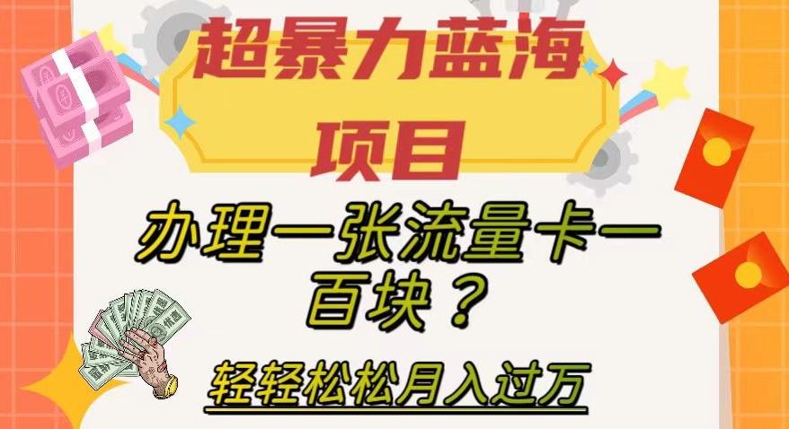 超暴力蓝海项目，办理一张流量卡一百块？轻轻松松月入过万，保姆级教程【揭秘】-Ai创业网