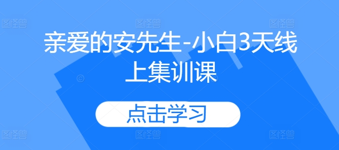 亲爱的安先生-小白3天线上集训课-Ai创业网