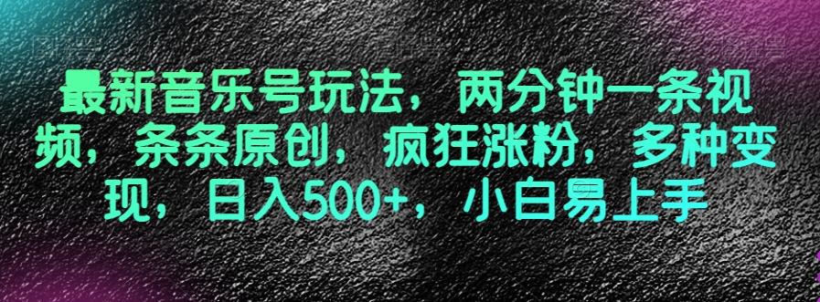 最新音乐号玩法，两分钟一条视频，条条原创，疯狂涨粉，多种变现，日入500+，小白易上手【揭秘】-Ai创业网