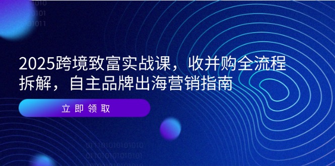 2025跨境致富实战课，收并购全流程拆解，自主品牌出海营销指南-Ai创业网