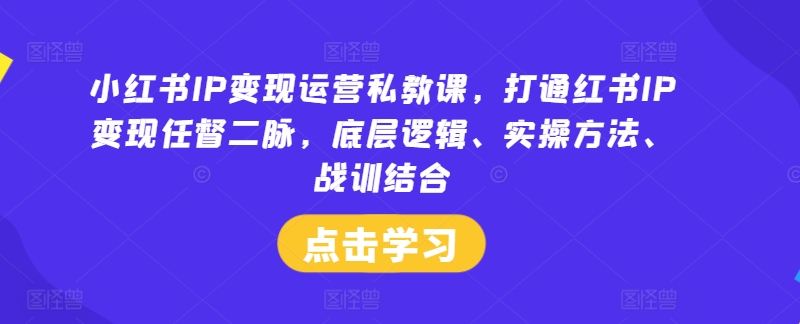 小红书IP变现运营私教课，打通红书IP变现任督二脉，底层逻辑、实操方法、战训结合-Ai创业网