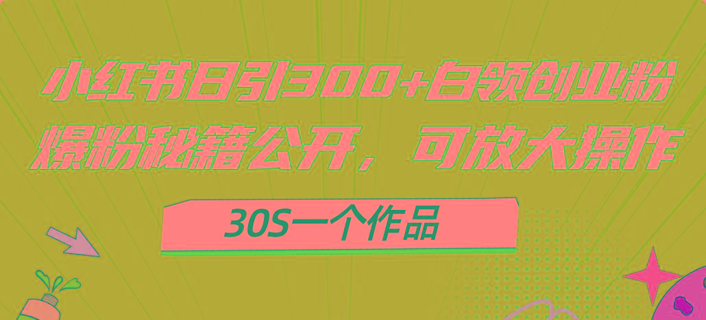 小红书日引300+高质白领创业粉，可放大操作，爆粉秘籍！30s一个作品-Ai创业网
