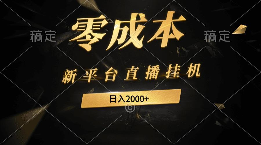 (9841期)新平台直播挂机最新玩法，0成本，不违规，日入2000+-Ai创业网