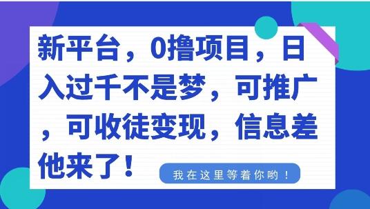 不要再花冤枉钱了，0撸项目，每天坚持，稳定1000+-Ai创业网