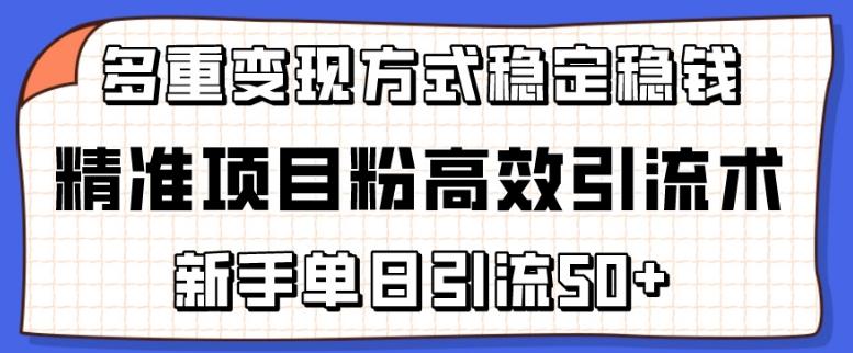 精准项目粉高效引流术，新手单日引流50+，多重变现方式稳定赚钱【揭秘】-Ai创业网