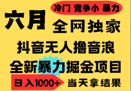 25年6月高爆抖音无人直播最新撸音浪掘金项目，小白可做，无脑日入1k+，门槛低可批量矩阵【揭秘】-Ai创业网