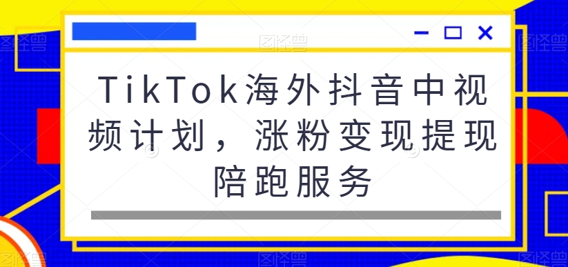 TikTok海外抖音中视频计划，涨粉变现提现陪跑服务-Ai创业网